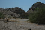 DSC_1210.JPG