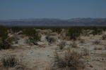 DSC_1213.JPG