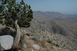 DSC_1230.JPG