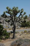 DSC_1235.JPG