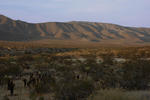 Anza Borrego State Park