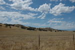 DSC_1304.JPG