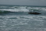 DSC_1335.JPG