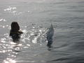 IMG_0860.JPG