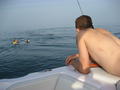 IMG_0892.JPG