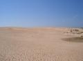 Outer Bank, largest dune