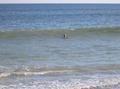 Myrtle Beach