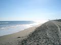 Myrtle Beach