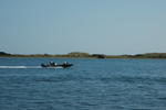 DSC_1436.JPG