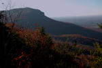 DSC_1531b.jpg