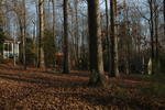 DSC_1564.JPG
