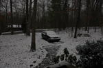 DSC_1578.JPG