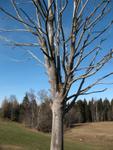 Zugerberg