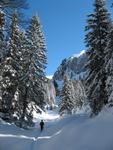 Snow shoe