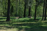 DSC_1757.JPG