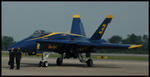 Wings over Wayne 07