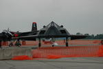 nighthawk3.JPG