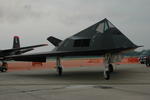 nighthawk4.JPG