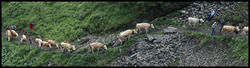DSC_2053c.jpg