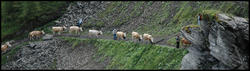 DSC_2054b.jpg