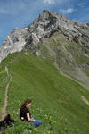 Buetschi-Alp