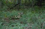 DSC_2281b.jpg