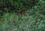DSC_2285b.jpg