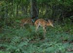 DSC_2289b.jpg