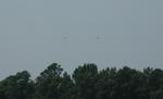 DSC_2342b.jpg