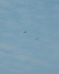 DSC_2343b.jpg