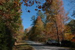 Some Pics...