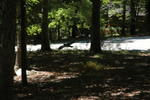 DSC_2464.JPG