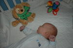 I am 6 weeks old...