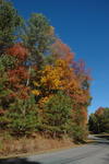 DSC_2717.JPG