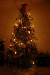 Christmas 2007