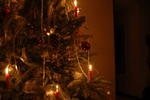 DSC_2903.JPG