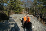 DSC_2919.JPG