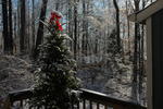 DSC_3139.JPG