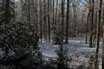 DSC_3142.JPG