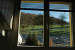 Room with a view