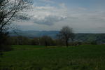 DSC_3867.JPG