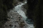 DSC_3932.JPG
