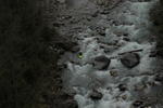 DSC_3940.JPG