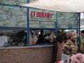DSCN3215.jpg