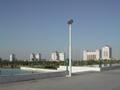 DSCN3262.jpg