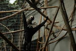 DSC_4182.JPG