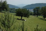Summer 08