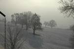 Winter Impression