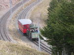 DSCN6905.JPG