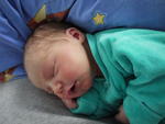 P1000251.JPG
